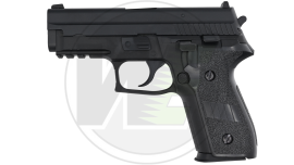 WE F229 RAIL
