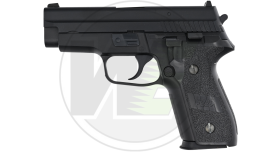 WE F229