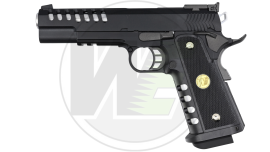WE 5.1 SPECIAL HOLE AIRGUN
